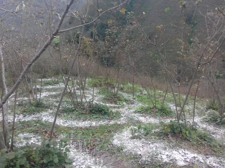 Kışlık gübre uygulaması