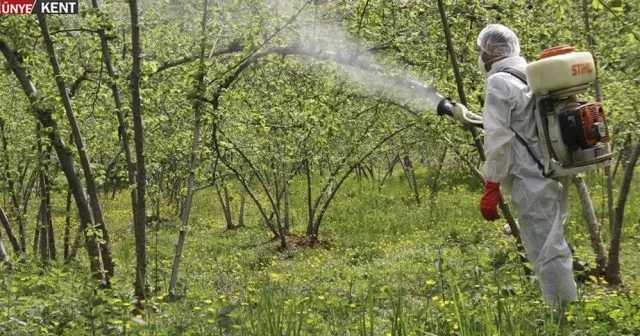 Yeşil kokarca izleme